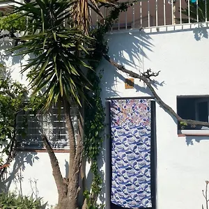 Estudio Boho-chic Nuevo Bien Ubicado Appartement Cadaqués
